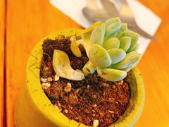 -Mesa Madre梅萨妈妈·Bintana(国贸店)