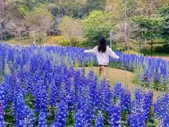 -云溪植物园