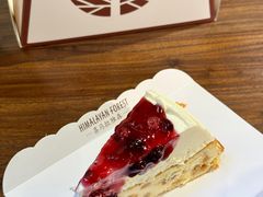 巴斯克芝士蛋糕（橙子）-喜马拉雅森(运河汇1958店)