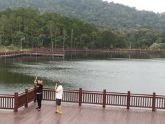 -海南热带雨林国家公园吊罗山景区