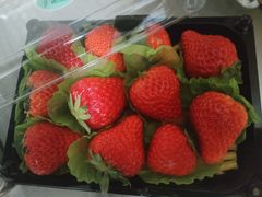 -百果园PAGODA(和泓四季店)