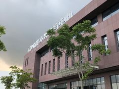 -临港奉贤体育中心
