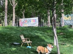 -爪吧宠物乐园 (温榆河示范区店)