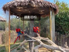 -上海野生动物园
