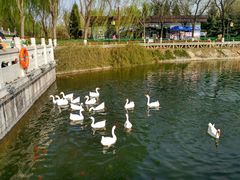 -西安汉城湖景区