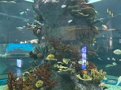 -福州罗源湾海洋世界旅游区