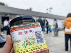 -苏州市吴中区光福窑上花果蜜饯厂