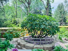 -太阳宫公园
