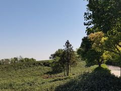 -南京市江宁方山