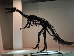 -烟台自然博物馆