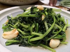 紫菜苔-江南赋(内蒙古大厦店)