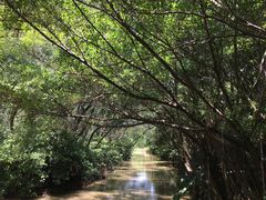 -大湾区中央湿地公园
