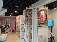 -哆趣宠物医院·眼科·内镜·急重症转诊中心(上海店)
