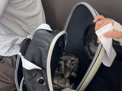 -瑞派伍一宠物医院·眼科·骨科·猫科转诊中心(马王堆院)