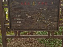 -高尔山公园