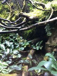 -酷嗒动物文化乐园(cutezoo西溪乐天城店)