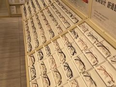 -AOJO眼镜(南翔印象城MEGA店)