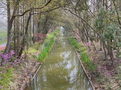 -上海长兴岛郊野公园