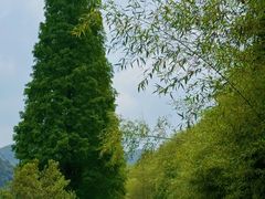 -莫干山风景区