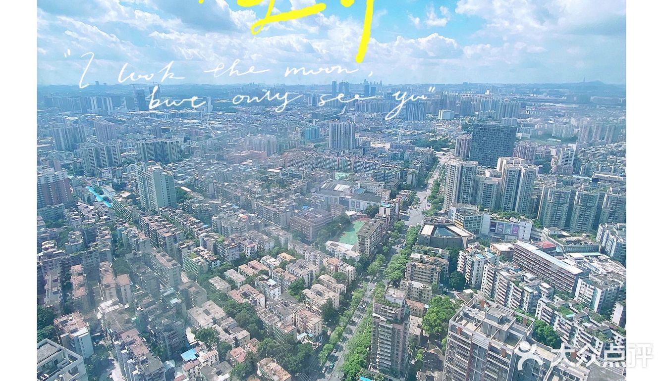 广州早茶推荐■49层赏广州城景.高性价比