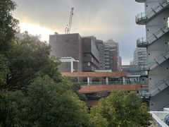 -香港大学