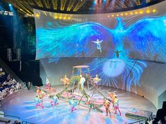 -武汉杂技厅