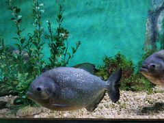 -常州海昌海洋探索馆