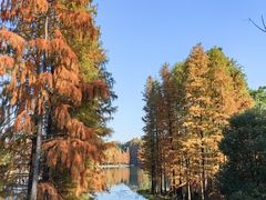 -尚湖风景区