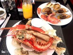 小青龙-上海锦江汤臣洲际大酒店壹阶层