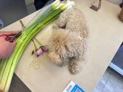 -花草间花行(法华镇路店)