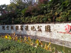 -重庆彩云湖湿地公园