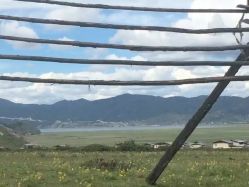 -纳帕海依拉草原