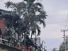 -关西瀑布