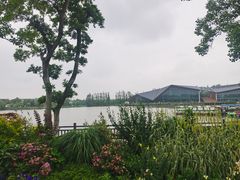 -上海长兴岛郊野公园