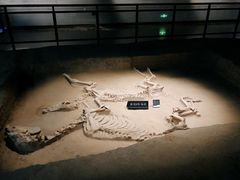 -洛阳周王城天子驾六博物馆