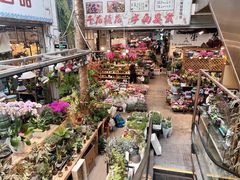 -双季花艺园艺市场(浦东店)