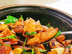 -明本湛江鸡•海鲜小厨(陈家祠店)