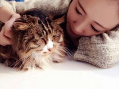 android_upload_pic-Anne猫窝咖啡屋