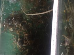-阳澄湖大闸蟹·琼灵阁牌品牌连锁(吴中总店)