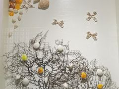 -青岛贝壳博物馆