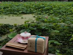 -莲湖公园