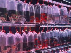 -中环花鸟鱼虫市场