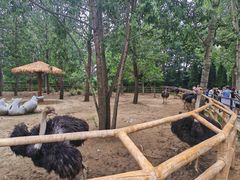 -大连森林动物园