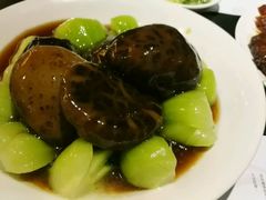 -糖朝(尖沙咀店)