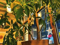 -Cafe Alice咖啡爱丽丝(奥城店)