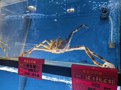 -囍凤楼·粤菜·点心·火锅(温特莱店)
