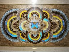 -上海昆虫博物馆