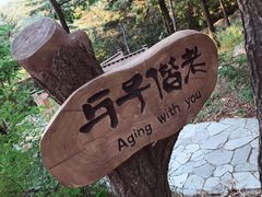 -燕窝岭