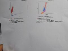 -成都民大动物医院