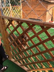 -萌宠亲子动物乐园(槐房万达店)